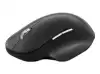 MICROSOFT Bluetooth Ergonomic Mouse Bluetooth BG/YX/LT/SL Black