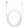 Apple Lightning to USB Cable (2 m)