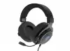 Genesis Headset Neon 764 with microphone, RGB illumination, USB, Black