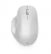 MICROSOFT Bluetooth Ergonomic Mouse BG/YX/LT/SL Glacier