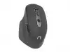 Natec Mouse Falcon Wireless 3200DPI 2.4GHz + Bluetooth 5.0 Optical Black