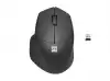 Natec Mouse Siskin Wireless 1600DPI 2.4GHz + Bluetooth 5.0 Optical Black