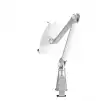 Neomounts Tablet & Smartphone Arm (universal for all tablets & most smartphones)