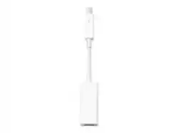 Apple Thunderbolt to FireWire Adapter