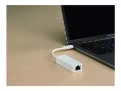 D-LINK USB-C to Gigabit Ethernet Adapter