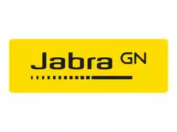 JABRA Big Earcushion set for GN 2100 and GN 9120 1 big Earplate and 1 big Earcushion leather