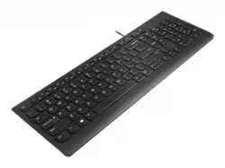 LENOVO KBD BO Essential Keyboard USB (BG) Layout