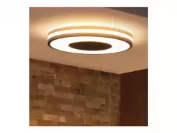 PHILIPS Being Hue ceiling lamp black