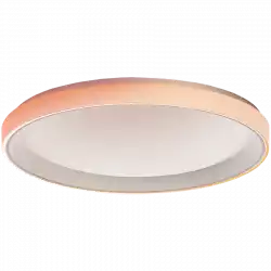 Aqara Ceiling Light T1M: Model No: CL-L02D