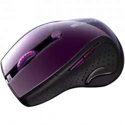 CANYON 2.4Ghz wireless mouse, optical tracking - blue LED, 6 buttons, DPI 1000/1200/1600, Purple pearl glossy