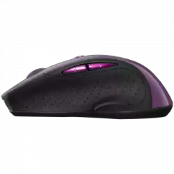 CANYON 2.4Ghz wireless mouse, optical tracking - blue LED, 6 buttons, DPI 1000/1200/1600, Purple pearl glossy