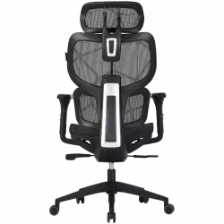 CANYON gaming chair Ventra MOCH01 Mesh Black