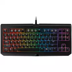 Razer BlackWidow Tournament Chroma keyboard.Razer Mechanical Switches with 50g actuation force.Chroma backlighting with 16.8 million customizable color options.Fully programmable keys with on-the-fly macro recording.Carrying case for protection.