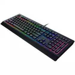 Razer Cynosa V2, Individually customizable backlit gaming-grade keys, Quiet cushioned keystrokes, Dedicated media keys, Durable spill-resistant design, RGB backlighting, Razer Synapse enabled, N-key roll over, 1000 Hz Ultrapolling, Gaming mode option