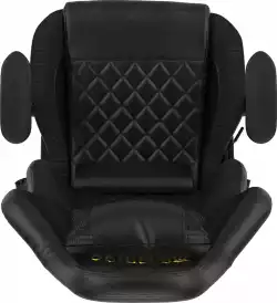 Gamdias геймърски стол Gaming Chair - ZELUS E1 L Black