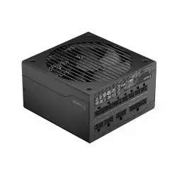 PSU FD ION GOLD 650W ATX