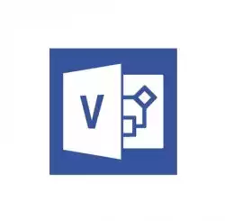 Microsoft Visio Std 2021 Win English Medialess