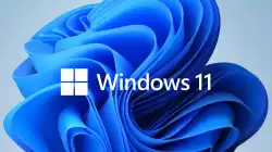 Microsoft Windows 11 Pro 64Bit Bulgarian 1pk DSP OEI DVD