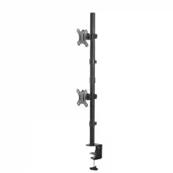 Neomounts by NewStar Flat Screen Desk Mount (clamp) for 2 Monitor Screens 