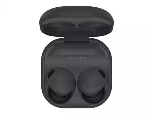 Samsung Galaxy Buds2 Pro Gray